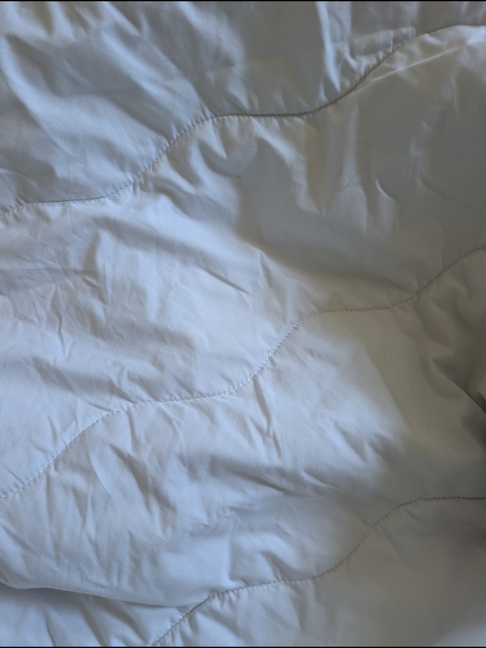Haynes Twin White Fitted Crib/Small Mattress Sheet with Elastic Topper Cover